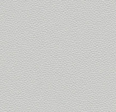 Линолеум Forbo SafeStep Aqua 180262 trout фото 1 | FLOORDEALER